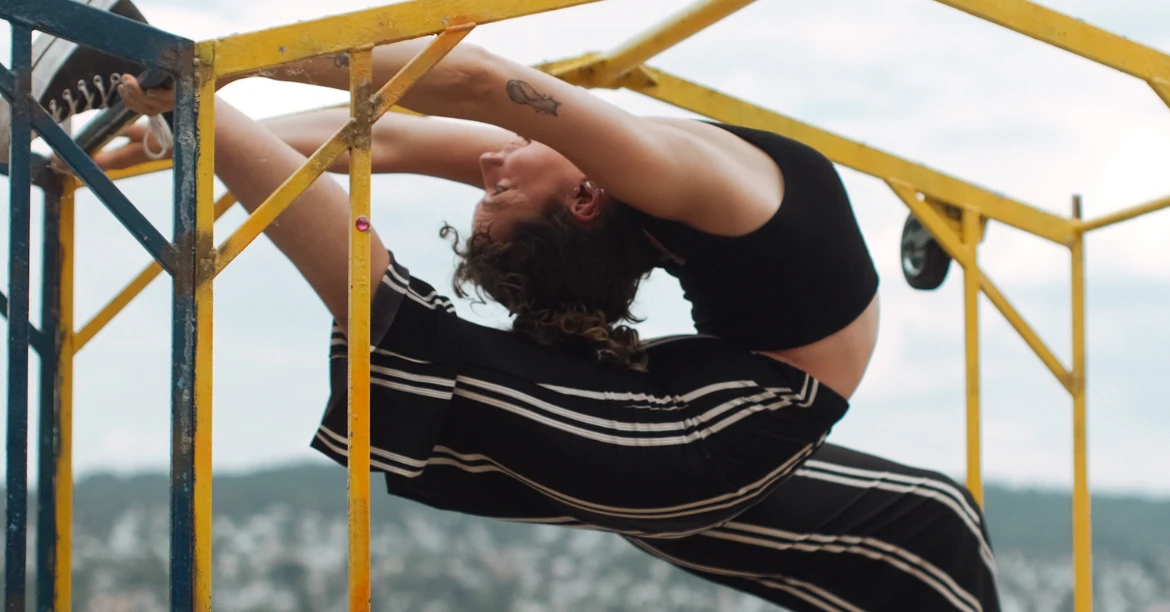 Flexi Dez Di